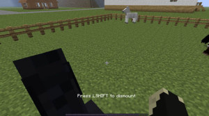 minecraft-horses-1