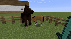 minecraft-horses-10