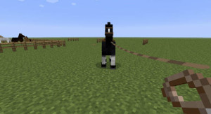 minecraft-horses-4