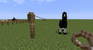 minecraft-horses-5