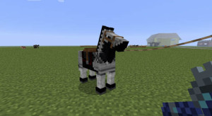 minecraft-horses-7