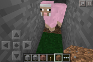 pink-sheep